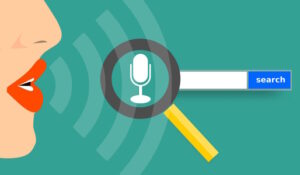 voice search